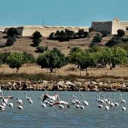 67-algarve * 알투라