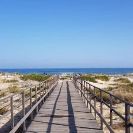 67-algarve 빌라 *